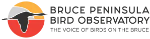 cropped BPBO Logo Horizontal KnockedOut CMYK e1538486498584 1